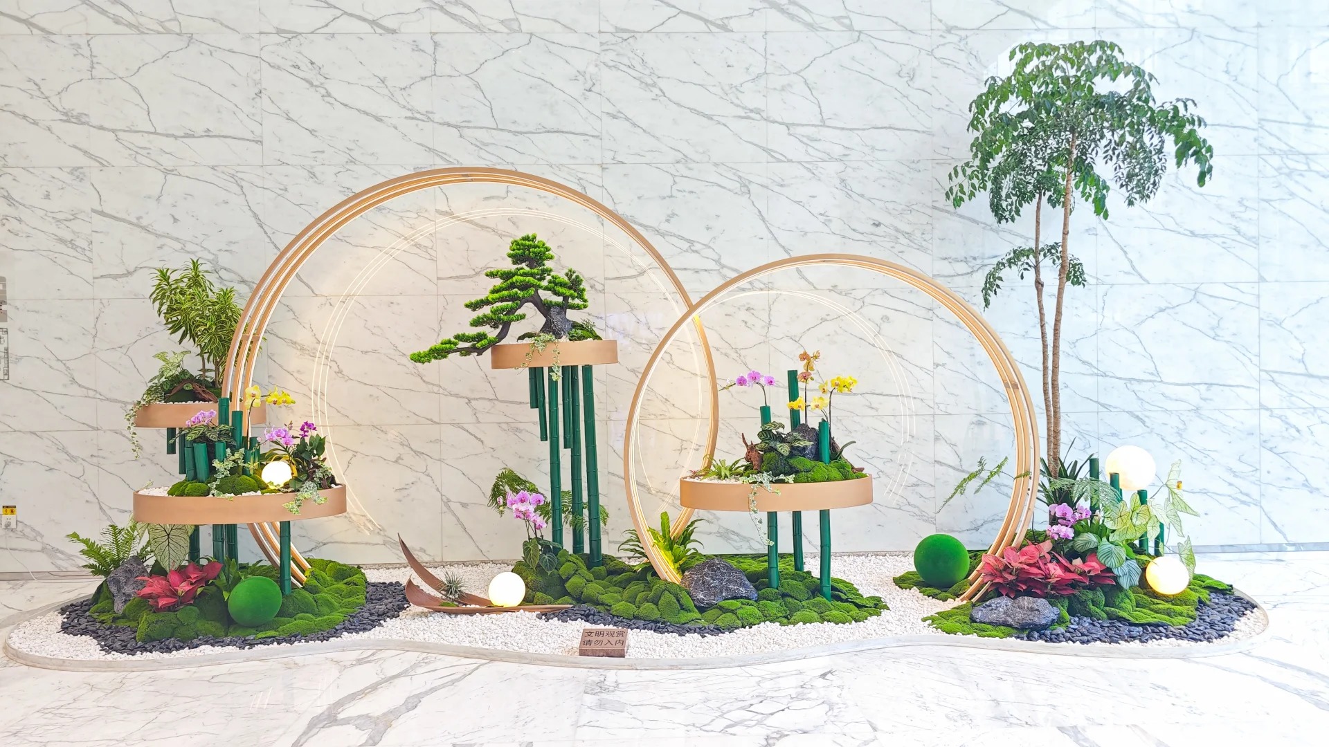 专业花卉租赁,宁波奉化的绿色空间缔造者